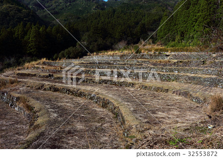 梯田·水稻梯田 32553872