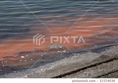 Akashio·紅潮 32554036