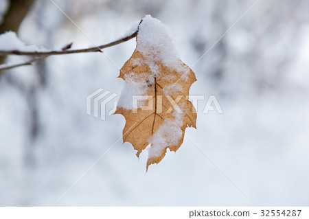 yellow sheet is snow-capped yellow sheet is snow-capped 32554287