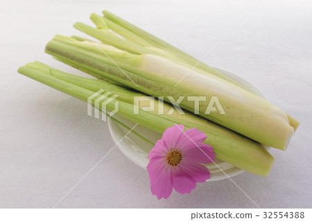 Makomedake和秋天的櫻花樹 Makomedake和秋天的櫻花樹 32554388