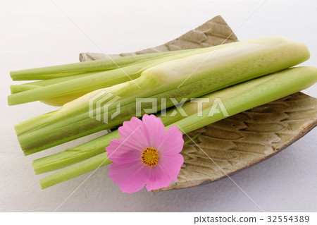 Makomedake and autumn cherry tree 32554389