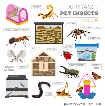 Pet insects appliance icon set flat isolated  32554406