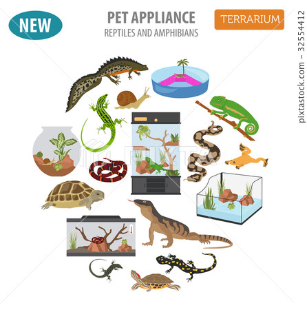 Pet reptiles appliance icon set flat style - Stock Illustration ...