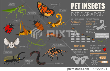 Pet insects breeds icon set flat style isolated  32554421