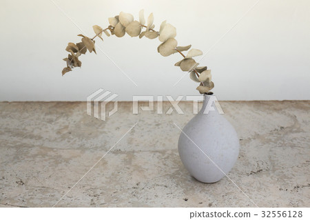Dried eucalyptus leaves in vases Dried eucalyptus leaves in vases 32556128