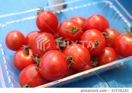 Tomato Tomato 32556281