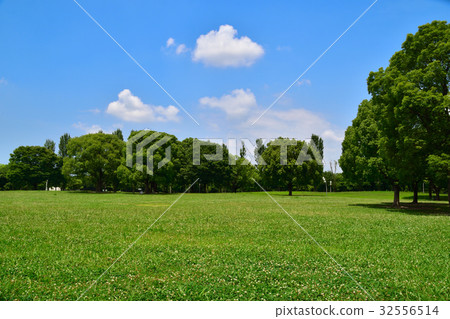 Park Summer landscape Park Summer landscape 32556514