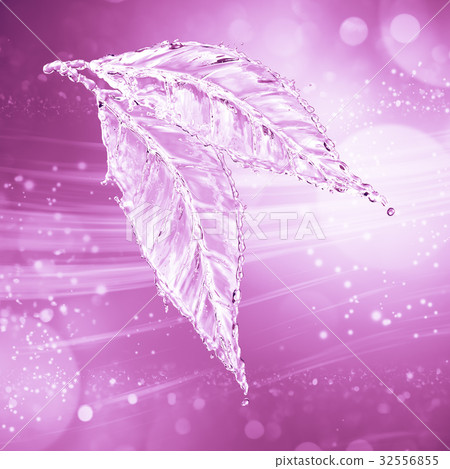 Leaf made of water splash. Pink color 32556855