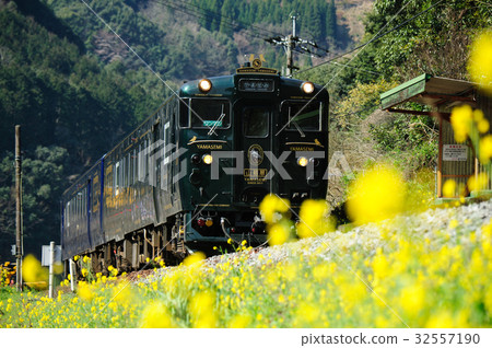 Limited express and miserable 32557190