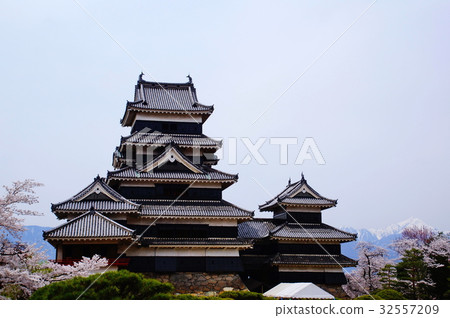 Matsumoto Castle (Owu Castle) Tensoike Inner Garden side (Marunouchi, Matsumoto-shi, Nagano Prefecture) Matsumoto Castle (Owu Castle) Tensoike Inner Garden side (Marunouchi, Matsumoto-shi, Nagano Prefecture) 32557209