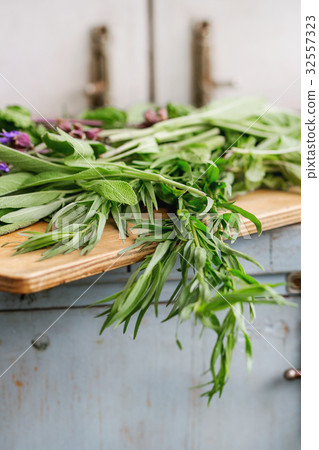 Various of garden herbs Various of garden herbs 32557323