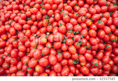 tomato 32557585