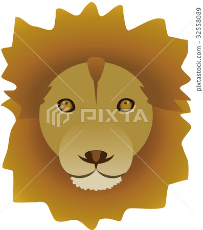 lion lion 32558089