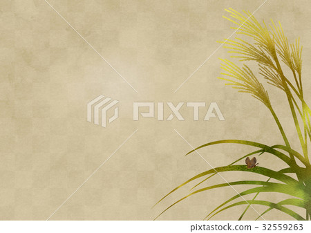 Suzuki and Suzuki (platinum folding wind blow) 32559263