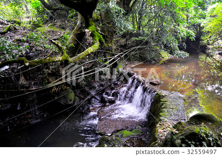 溪流 32559497
