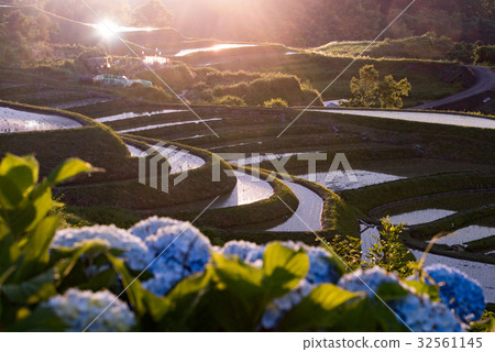 Rice Terrace in Shimosuka Rice Terrace in Shimosuka 32561145