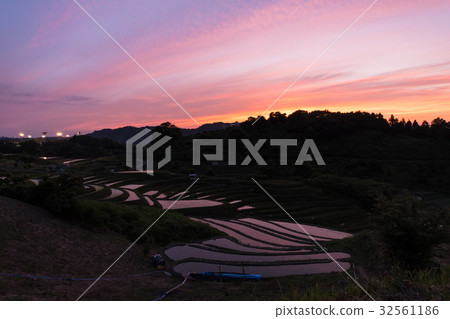 Rice Terrace in Shimosuka Rice Terrace in Shimosuka 32561186