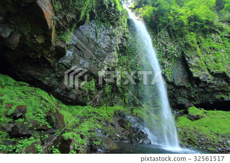 Amitabha Falls 32561517
