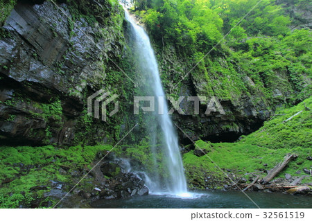 Amitabha Falls 32561519
