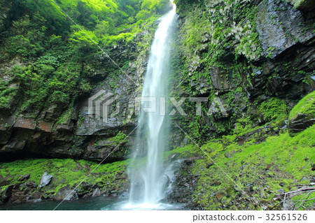 Amitabha Falls 32561526