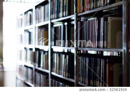 背光庫圖像平托淺 32561934