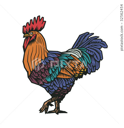 Colorful rooster or cock hand drawn in old etching 32562454
