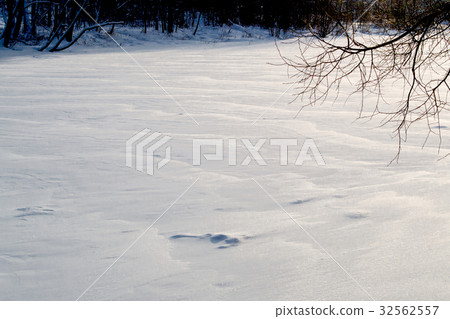 The river is completely frozen 32562557