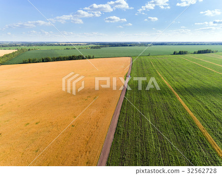 Aerial view of cereals in central Russia 32562728