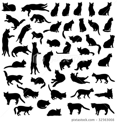 Cats silhouette set. Kitten in different pose 32563008
