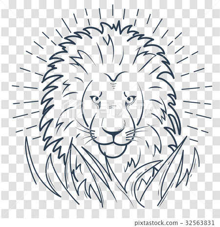 silhouette of a lion in the grass silhouette of a lion in the grass 32563831