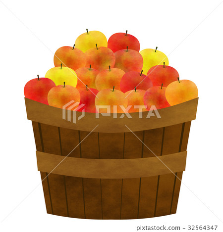 Freshly picked apples Freshly picked apples 32564347