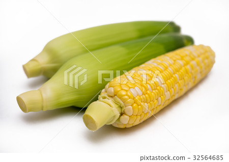 corn  32564685