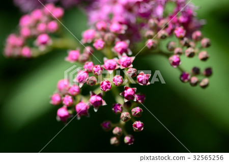 69903 Shimotsuke 69903 Shimotsuke 32565256