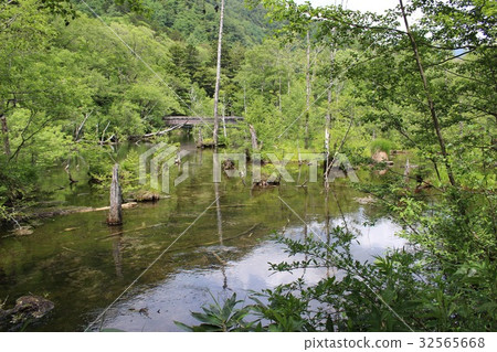 Tashiro Pond in Kamikochi Tashiro Pond in Kamikochi 32565668