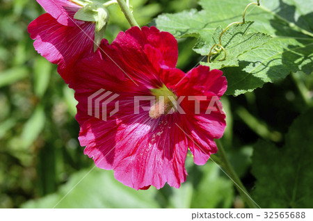 69972蒼井空 32565688