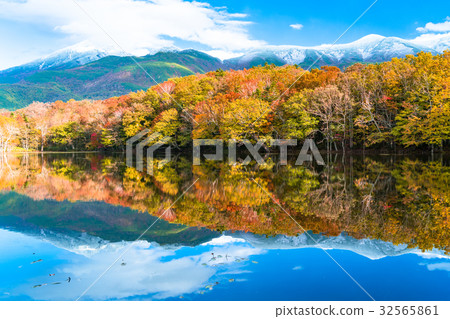 “北海道”秋葉，知床 32565861