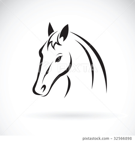 Vector of a horse head on white background. 32566898