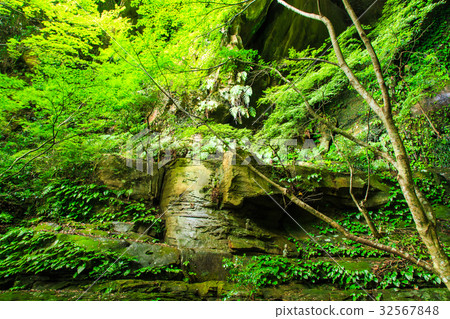 新鮮的綠色橋Kannon佐世保吉井鎮 新鮮的綠色橋Kannon佐世保吉井鎮 32567848