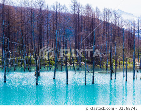 美瑛北海道的藍塘 美瑛北海道的藍塘 32568743