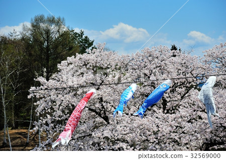 Arakiyama Park 32569000