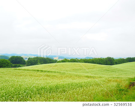 View of Biei 32569538