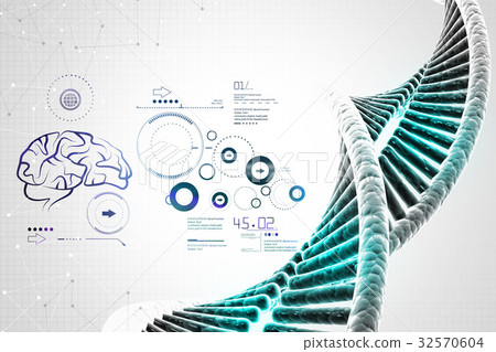 human dna human dna 32570604