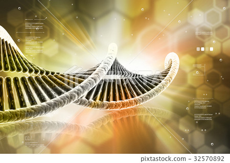 human dna human dna 32570892