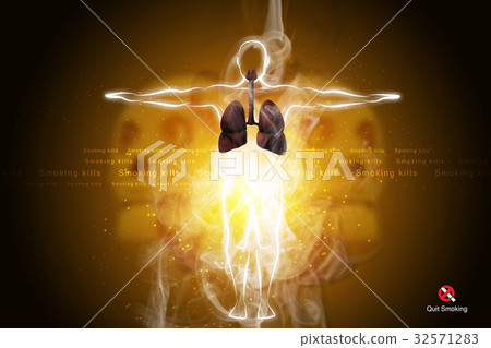 Human respiratory system with lungs Human respiratory system with lungs 32571283