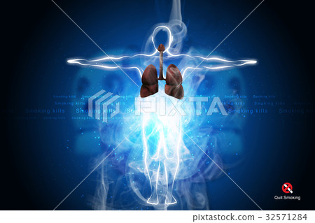Human respiratory system with lungs 32571284