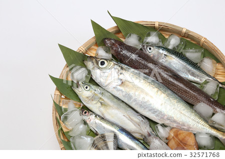 Assortment of fish and shellfish, image sent directly from the production area 32571768