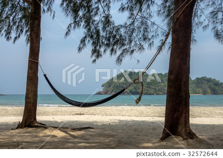 Relaxing under pine trees on the beach. 32572644