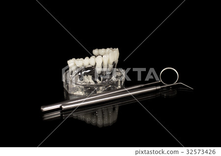 Glass jaw model with implanted dentures and mirror 32573426