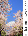 Miyahashi Mt. Fuji Sakura 1 32574556