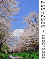 Miyahashi Mt. Fuji Sakura 2 32574557